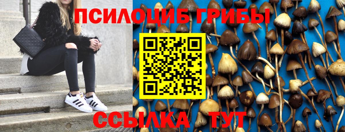 Галлюциногенные грибы мухоморы Новодвинск