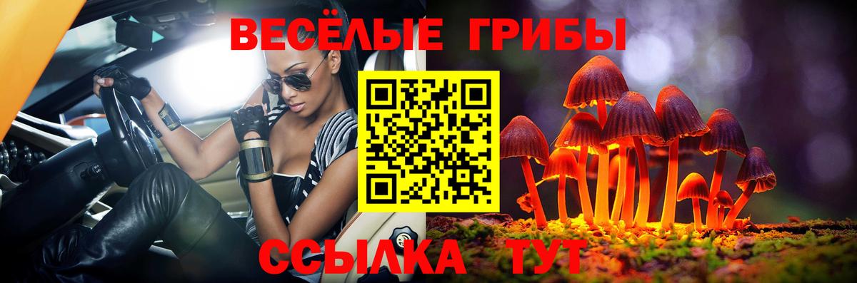 Псилоцибиновые грибы Magic Shrooms  Вход с VPN  Новодвинск  Псилоцибиновые грибы GOLDEN TEACHER 